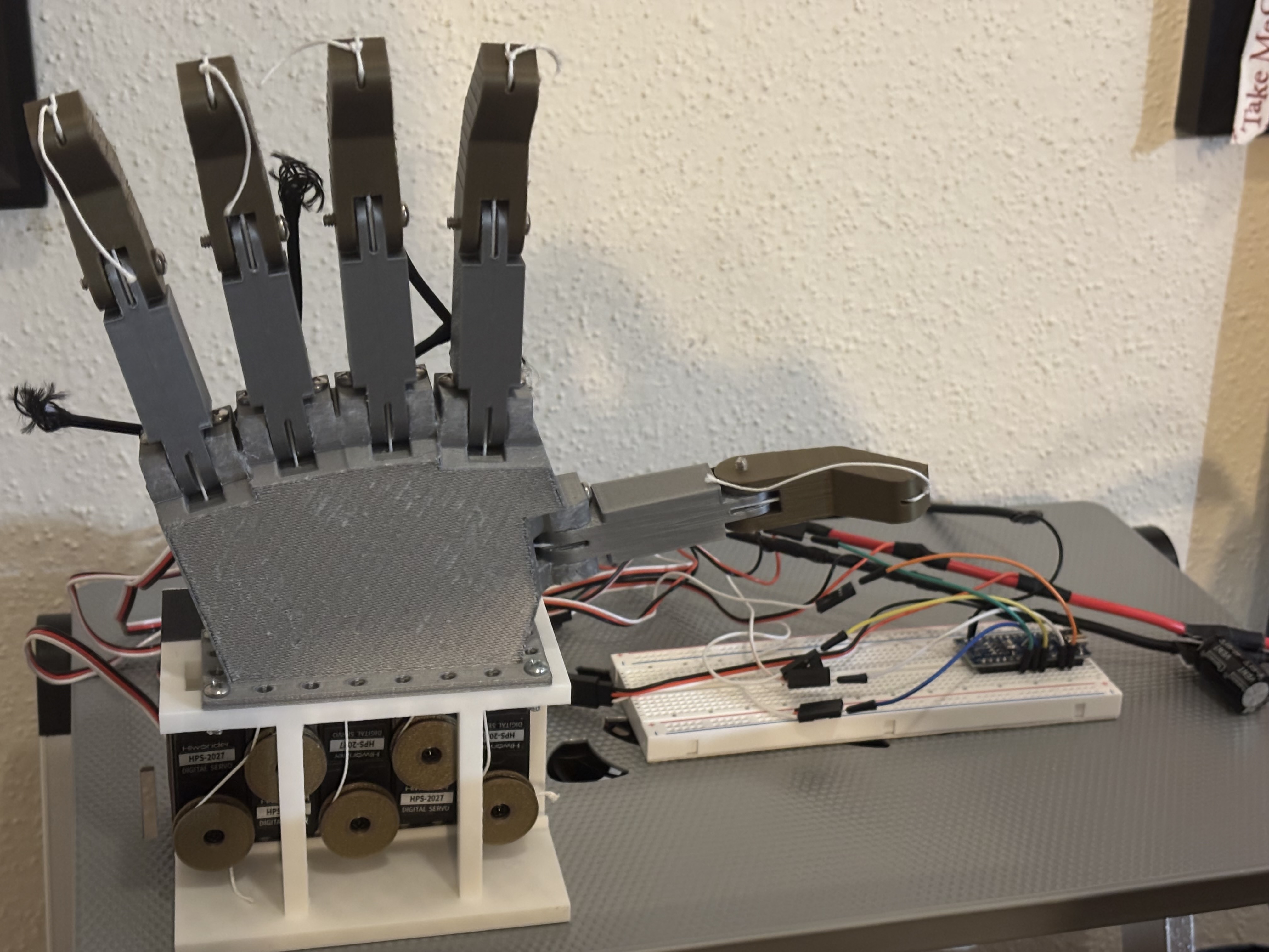 Palm-side view of the 3D-printed tendon-driven robotic hand
